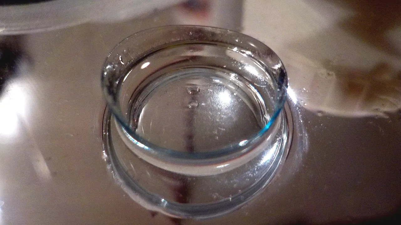 A pair of soft contact lenses